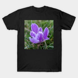 Purple and White Flower Profile 1 T-Shirt